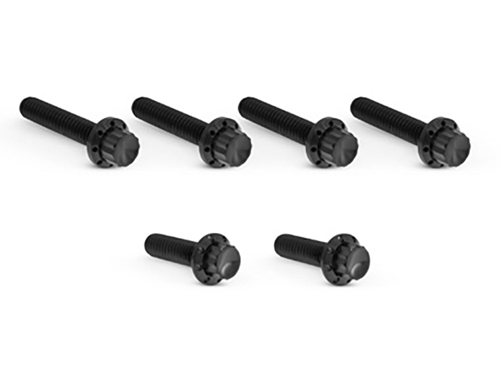 Titanium 12-Point Transmission Side Cover Bolt Kit - Black. Fits Touring 2007-2023, Softail 2007-2024 & Dyna 2006-2017 - Arlen Ness