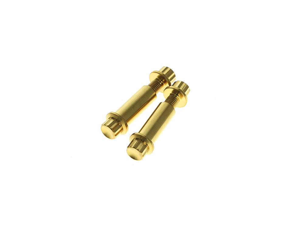 Titanium 12-Point Footpeg Mounting Hardware - Gold. Fits H-D Male Mount Footpegs - Arlen Ness