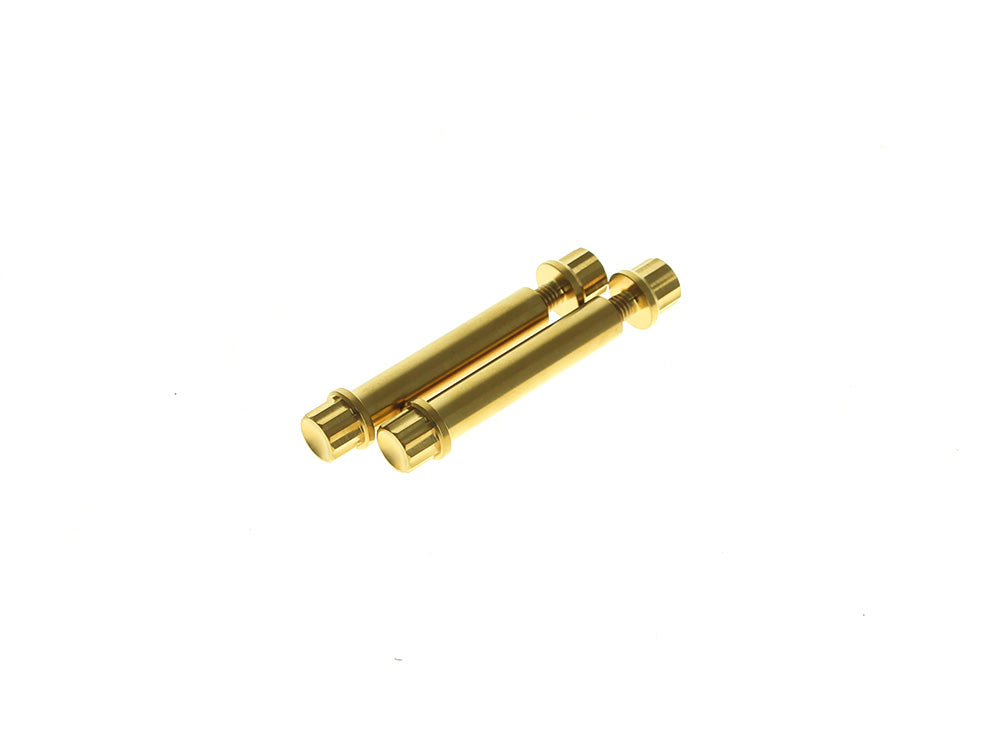Titanium 12-Point Footpeg Mounting Hardware - Gold. Fits Softail 2018up & Sportster S 2021up - Arlen Ness
