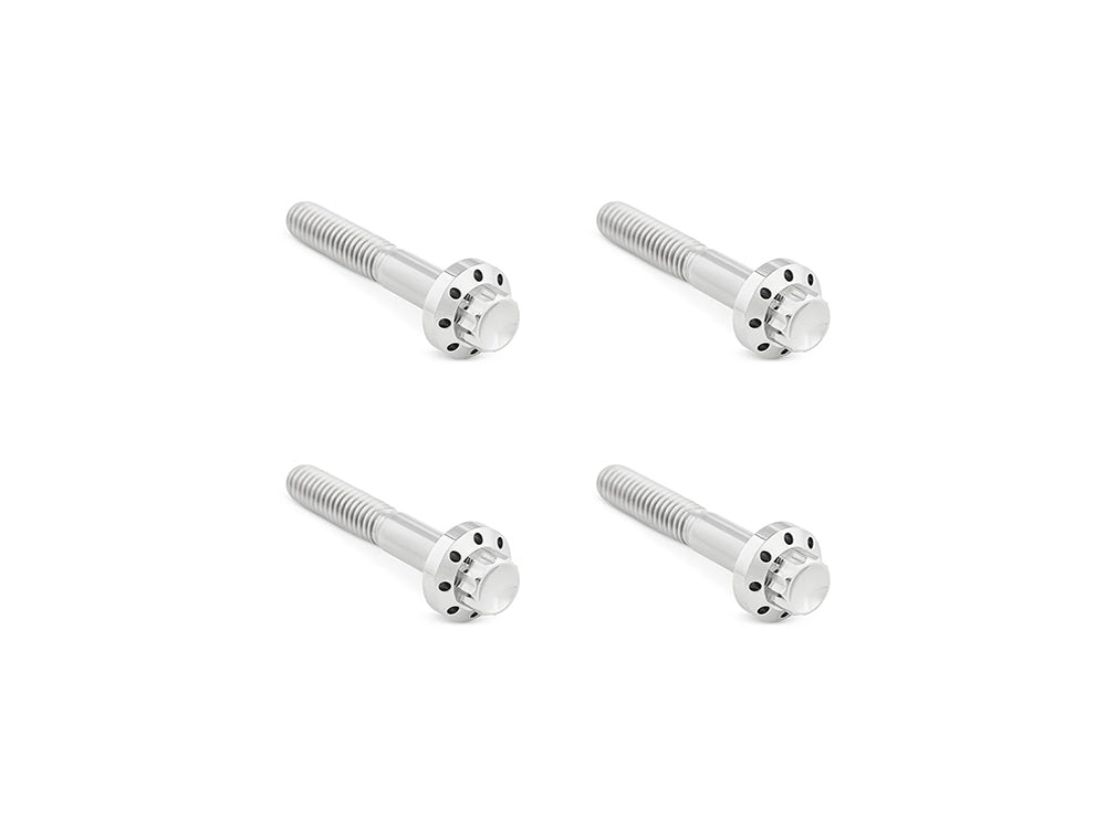 Titanium 12-Point Front Fender Mounting Hardware - Polished. Fits Touring 2009up. - Arlen Ness