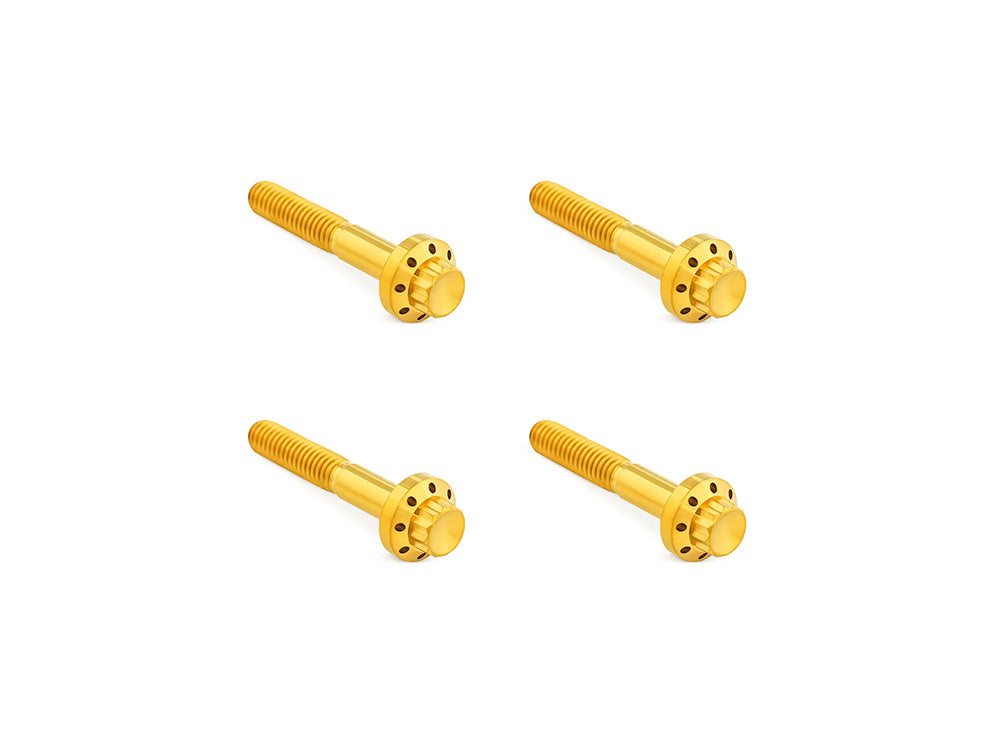 Titanium 12-Point Front Fender Mounting Hardware - Gold. Fits Touring 2009up. - Arlen Ness