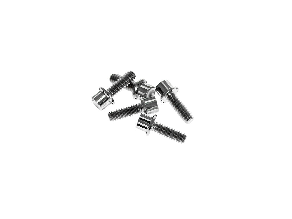 Titanium 12-Point Derby Cover Bolt Kit - Polished. Fits Softail 2018up - Arlen Ness