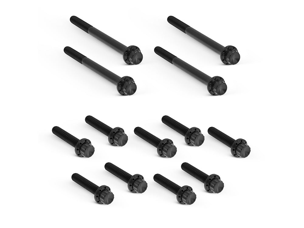 Titanium 12-Point Primary Cover Bolt Kit - Black. Fits Softail 2007-2017 Non-240 Tyre Models & Touring 2017up - Arlen Ness