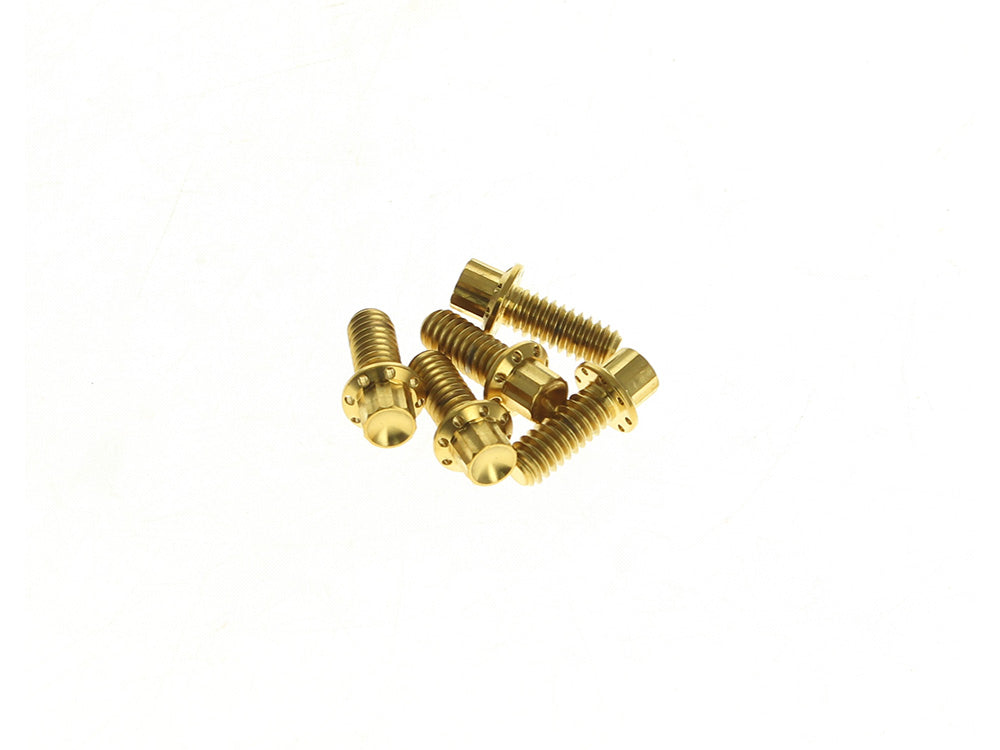 Titanium 12-Point Derby Cover Bolt Kit - Gold. Fits Touring 2007up, Softail 2007-2017 & Dyna 2006-2017 - Arlen Ness