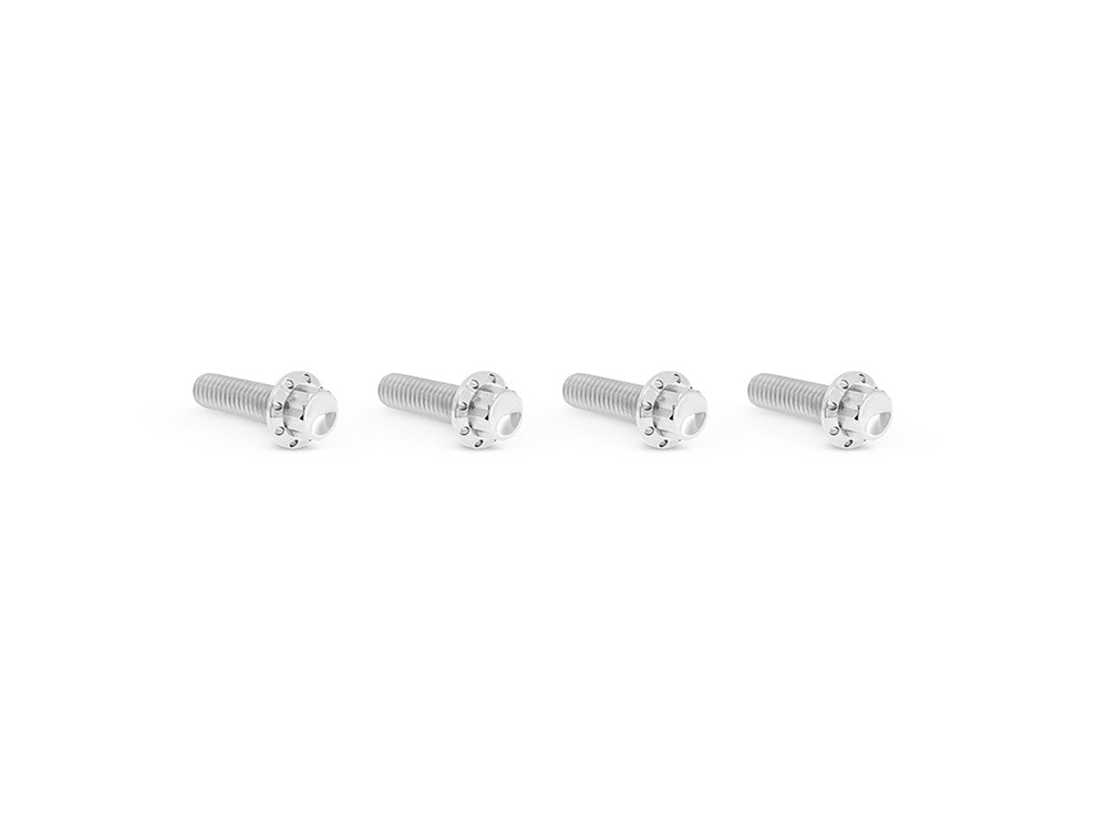 Titanium 12-Point Transmission Top Cover Bolt Kit or Clutch & Brake Perch Bolt Kit - Polished. Fits CVO Touring 2023up, Street Glide & Road Glide 2024up, Touring 2025up & Softail 2025up - Arlen Ness