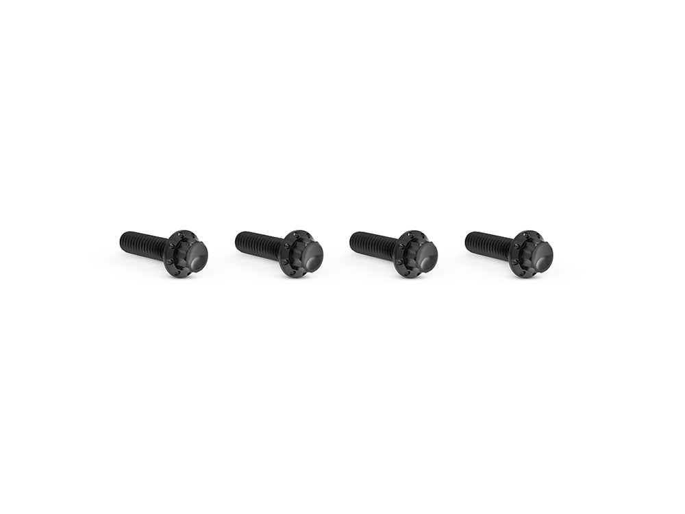 Titanium 12-Point Transmission Top Cover Bolt Kit or Clutch & Brake Perch Bolt Kit - Black. Fits CVO Touring 2023up, Street Glide & Road Glide 2024up, Touring 2025up & Softail 2025up - Arlen Ness
