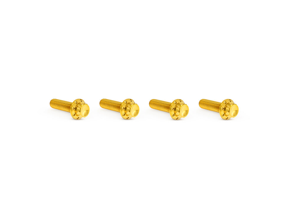 Titanium 12-Point Transmission Top Cover Bolt Kit or Clutch & Brake Perch Bolt Kit - Gold. Fits CVO Touring 2023up, Street Glide & Road Glide 2024up, Touring 2025up & Softail 2025up - Arlen Ness