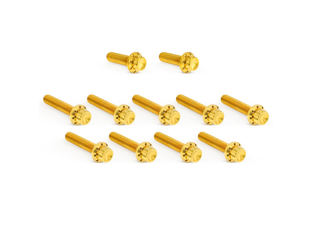 Titanium 12-Point Cam Cover Bolt Kit - Gold. Fits CVO Touring 2023up, Street Glide & Road Glide 2024up, Touring 2025up & Softail 2025up - Arlen Ness