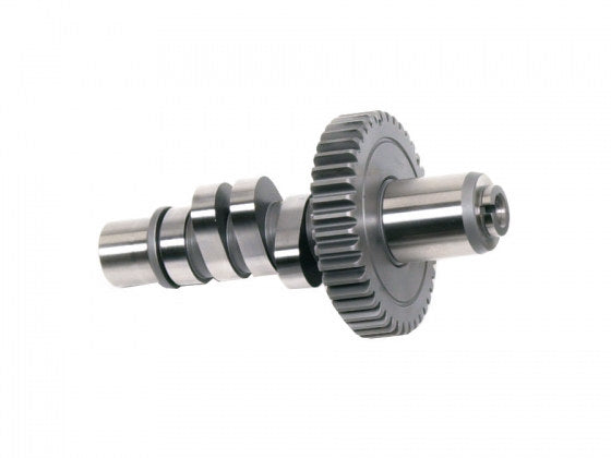 J Grind Camshaft. Fits Big Twin 1978-1984. - Andrews Products