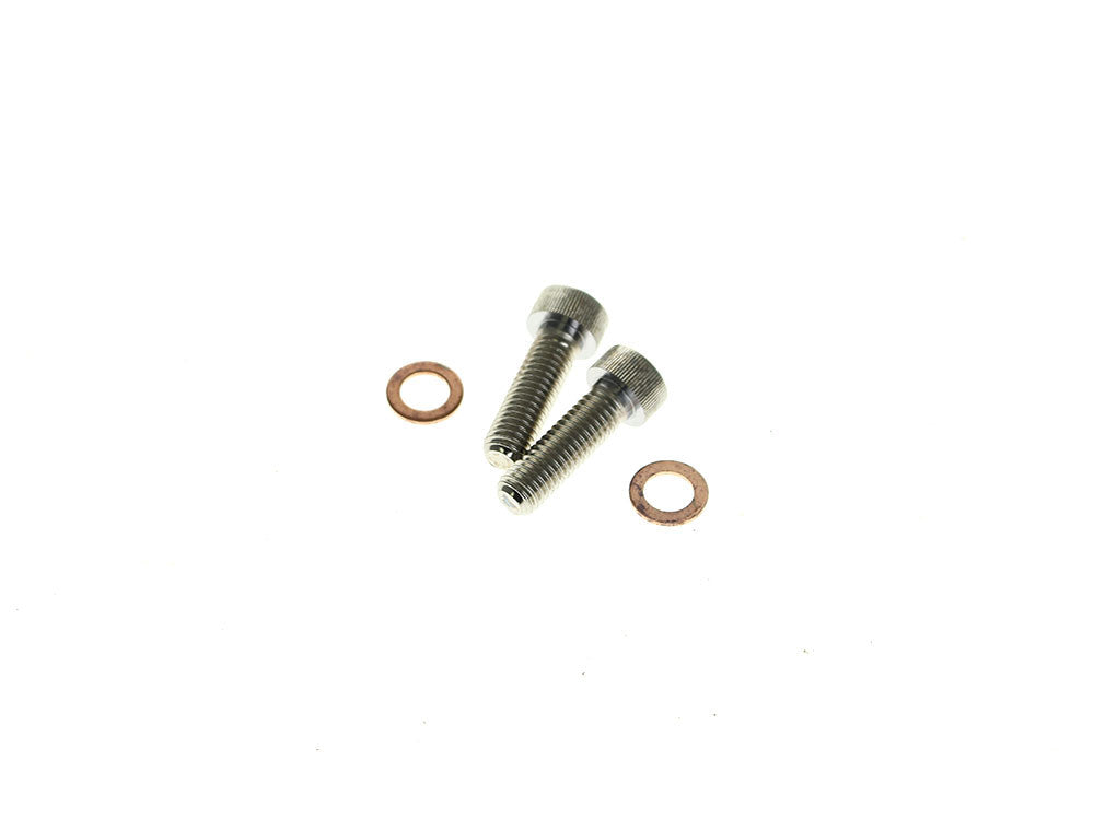 Damper Tube Screw & Washer Set. Fits Showa Forks, Most Big Twin 1975-2017 & Sportster 1987-2021 - Rollies Speed Shop