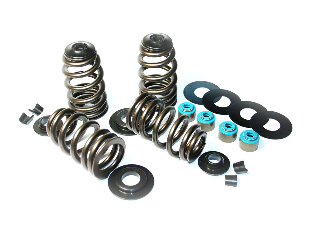 585in. Lift ECONO Performance Beehive Valve Spring Kit. Fits Twin Cam 2005-2017 & Sportster 2004-2021. - Feuling