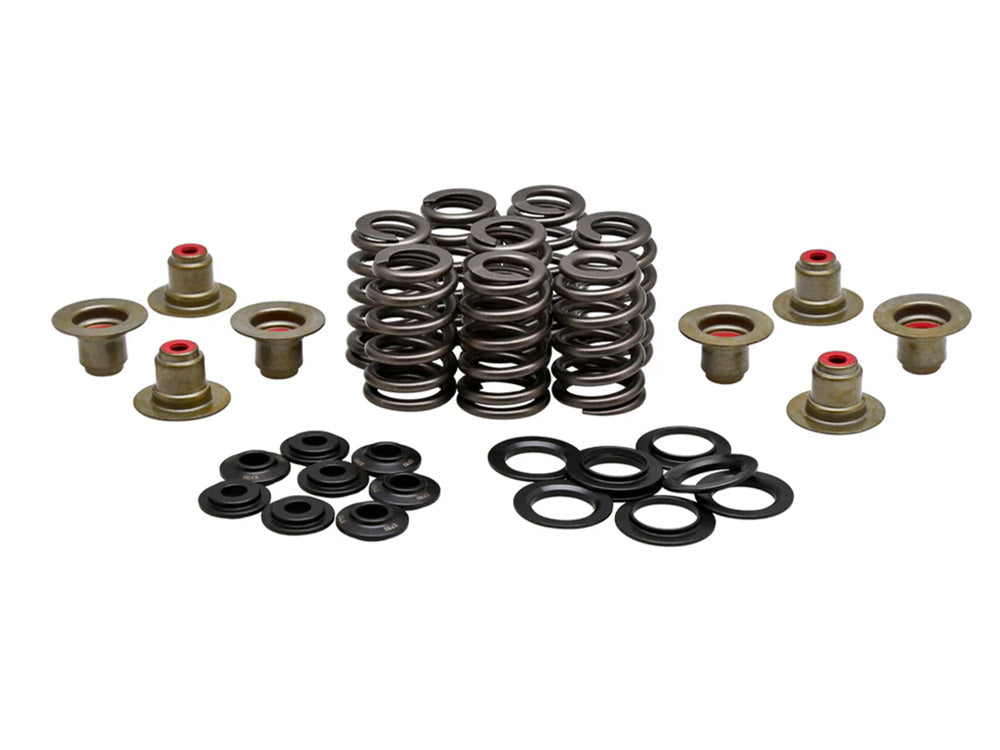 0.550in. Valve Spring Kit. Fits Milwaukee-Eight 2017up - Kibblewhite