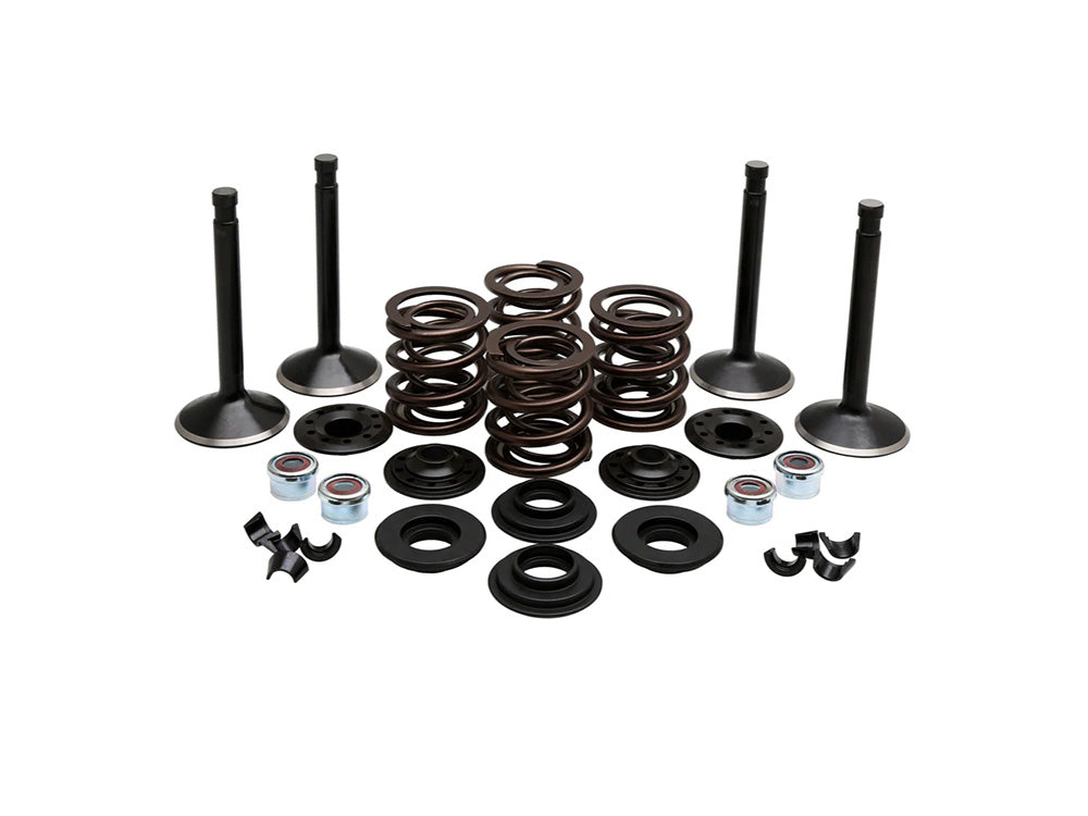 Valve & Spring Engine Kit. Fits 80ci Big Twin 1978-1984 - Kibblewhite