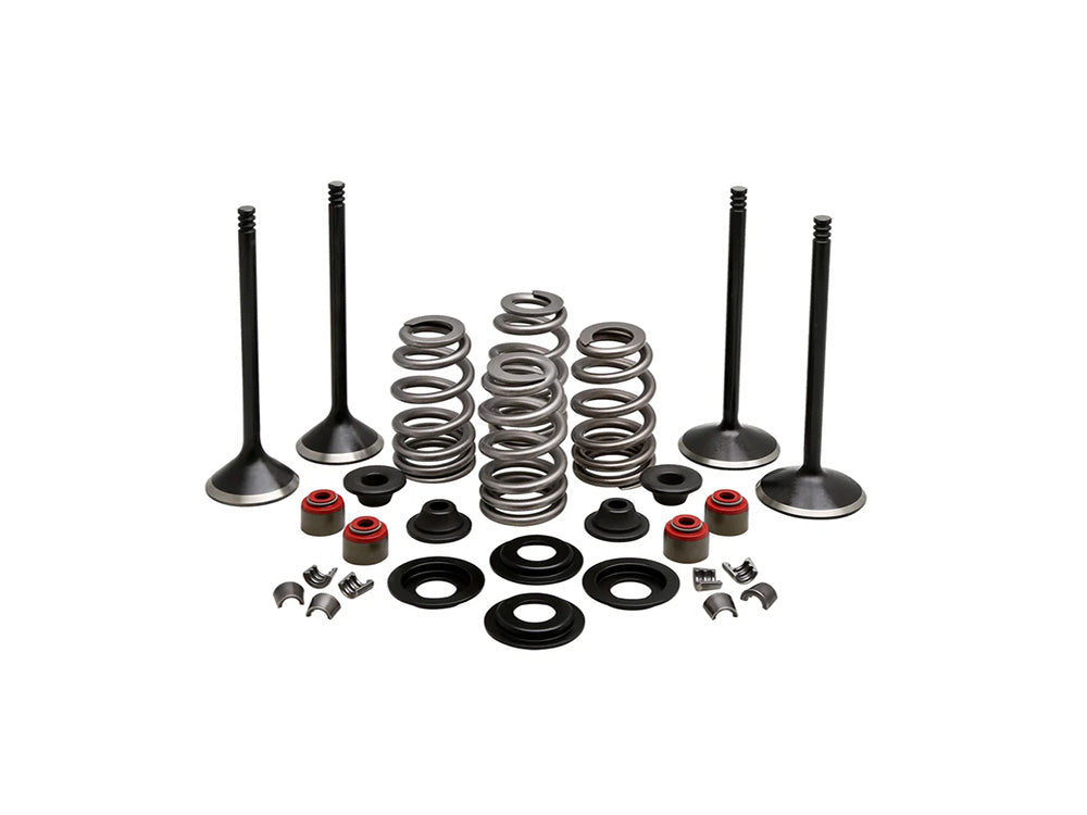 Valve & Spring Engine Kit. Fits 1200cc Sportster 2004-2021 - Kibblewhite