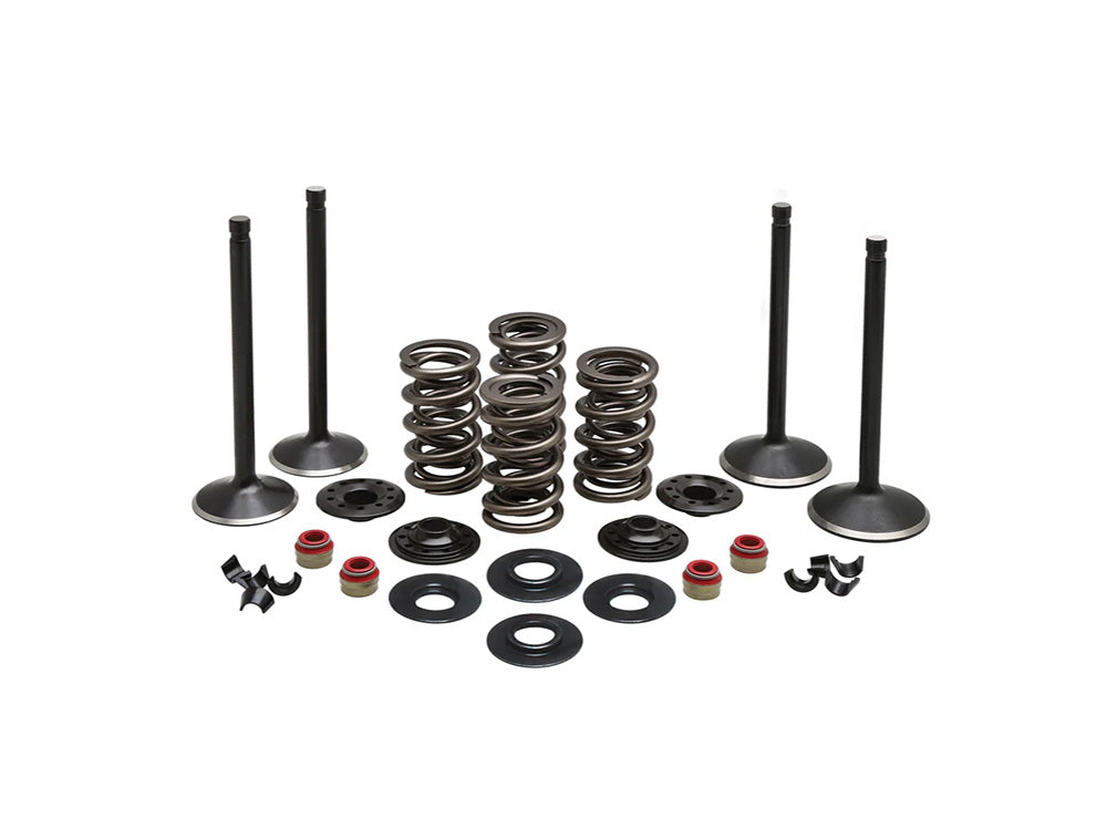 Valve & Spring Engine Kit. Fits Twin Cam 1999-2004 - Kibblewhite