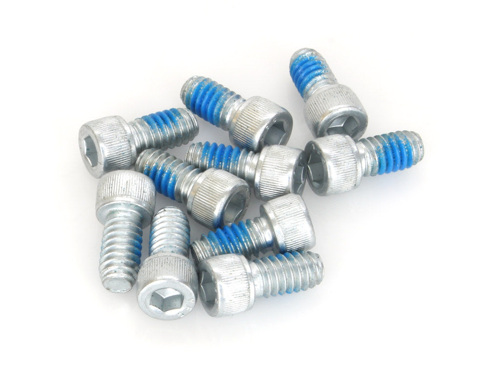 Air Cleaner Backplate Bolts - Pack of 10 - S&S