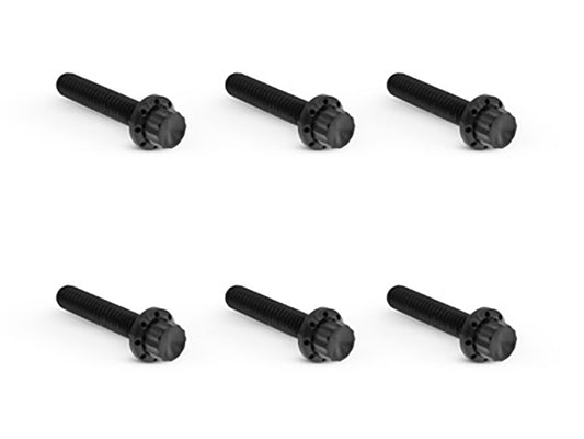 Titanium 12-Point Transmission Side Cover Bolt Kit - Black. Fits Touring 2024up & Softail 2025up - Arlen Ness