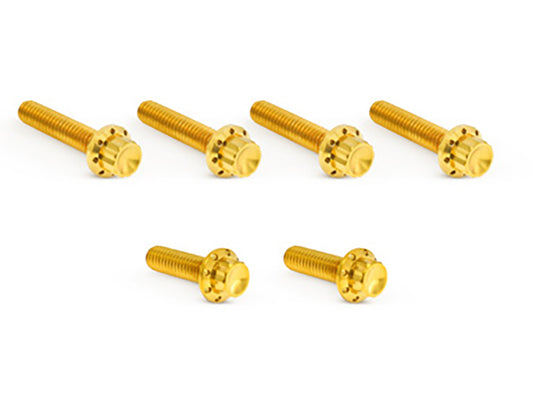 Titanium 12-Point Transmission Side Cover Bolt Kit - Gold. Fits Touring 2007-2023, Softail 2007-2024 & Dyna 2006-2017 - Arlen Ness