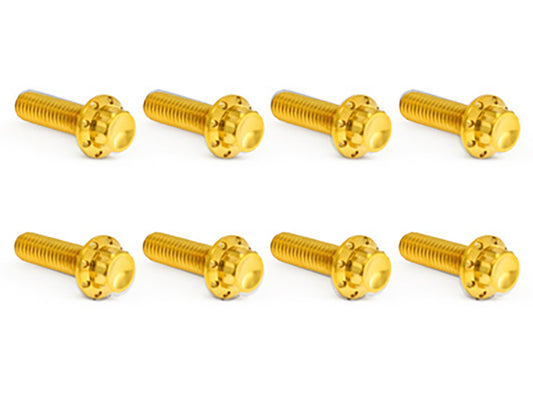 Titanium 12-Point Transmission Trap Door Cover Bolt Kit - Gold. Fits Touring 2017up & Softail 2018up - Arlen Ness