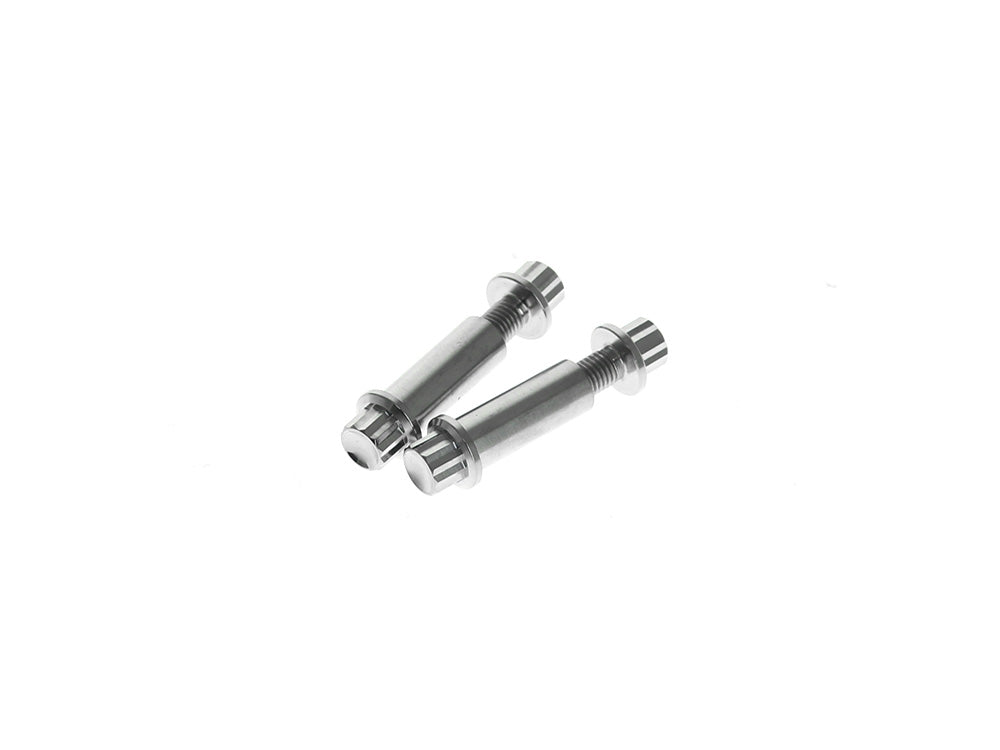 Titanium 12-Point Footpeg Mounting Hardware - Polished. Fits H-D Male Mount Footpegs - Arlen Ness