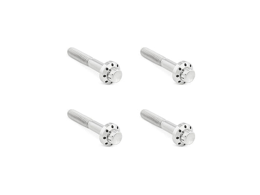 Titanium 12-Point Front Fender Mounting Hardware - Polished. Fits Touring 2009up. - Arlen Ness
