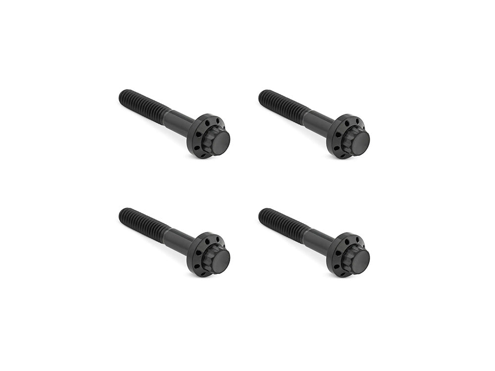 Titanium 12-Point Front Fender Mounting Hardware - Black. Fits Touring 2009up. - Arlen Ness