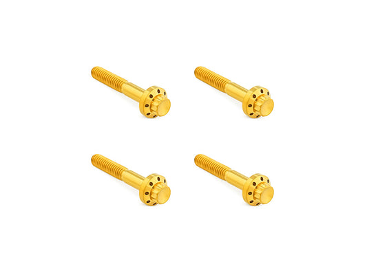 Titanium 12-Point Front Fender Mounting Hardware - Gold. Fits Touring 2009up. - Arlen Ness