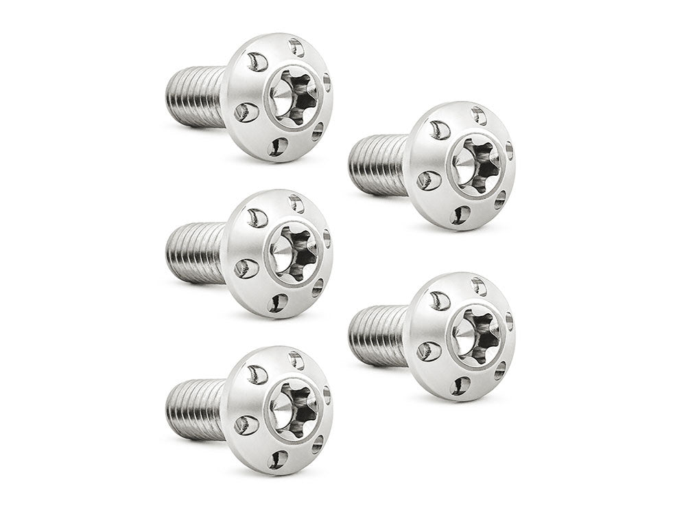 Titanium Rear Disc Rotor Bolts - Polished. Fits H-D Big Twin 1997up & Sportster 1997-2021 - Arlen Ness