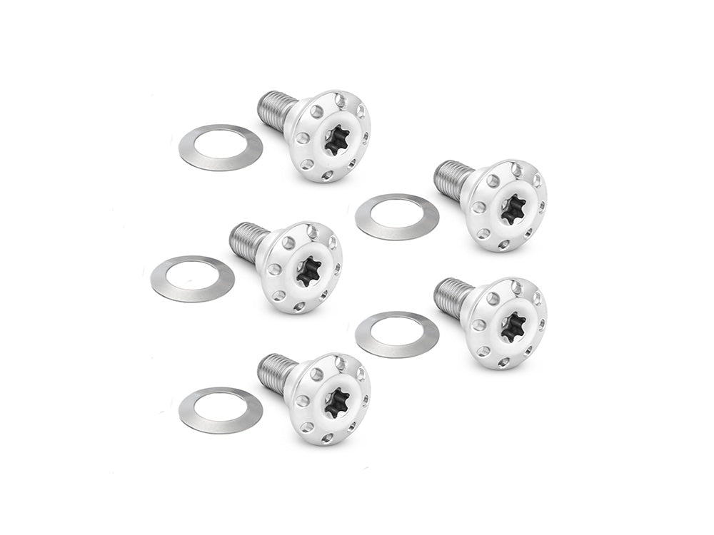 Titanium Front Disc Rotor Bolts - Polished. Fits Dyna 2006-2017 & V-Rod 2002-2017 - Arlen Ness