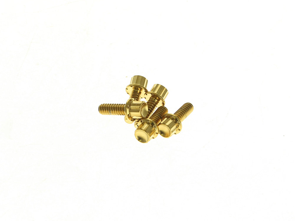 Titanium 12-Point Derby Cover Bolt Kit - Gold. Fits Softail 2018up - Arlen Ness