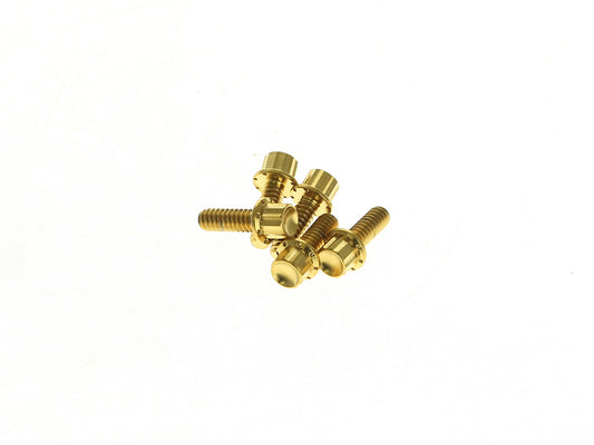 Titanium 12-Point Derby Cover Bolt Kit - Gold. Fits Softail 2018up - Arlen Ness