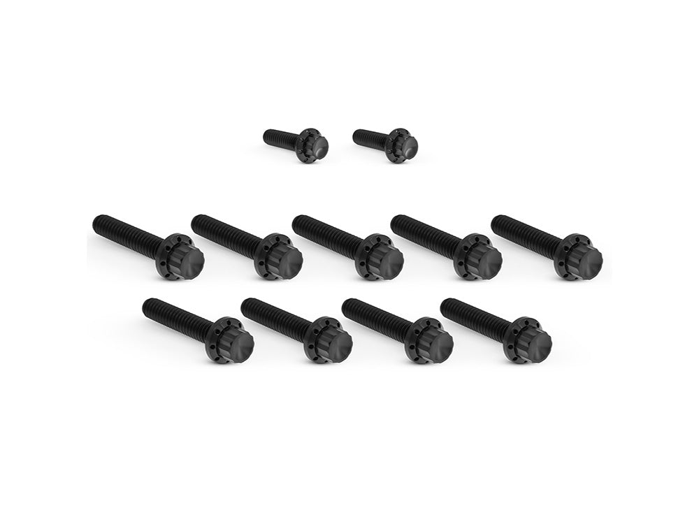 Titanium 12-Point Cam Cover Bolt Kit - Black. Fits Most Touring 2017-2024 & Softail 2018-2024 - Arlen Ness