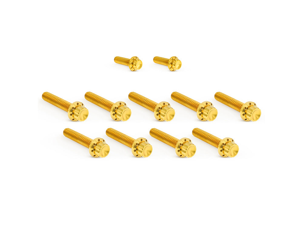 Titanium 12-Point Cam Cover Bolt Kit - Gold. Fits Most Touring 2017-2024 & Softail 2018-2024 - Arlen Ness
