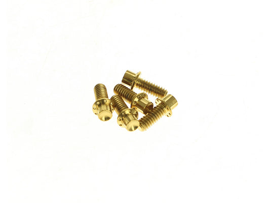 Titanium 12-Point Derby Cover Bolt Kit - Gold. Fits Touring 2007up, Softail 2007-2017 & Dyna 2006-2017 - Arlen Ness