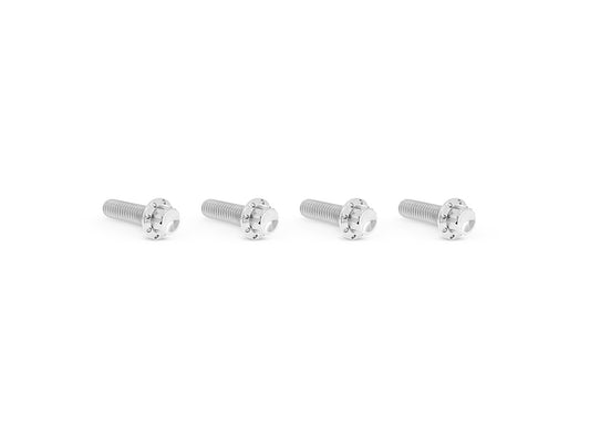 Titanium 12-Point Transmission Top Cover Bolt Kit or Clutch & Brake Perch Bolt Kit - Polished. Fits CVO Touring 2023up, Street Glide & Road Glide 2024up, Touring 2025up & Softail 2025up - Arlen Ness