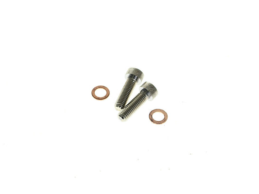 Damper Tube Screw & Washer Set. Fits Showa Forks, Most Big Twin 1975-2017 & Sportster 1987-2021 - Rollies Speed Shop