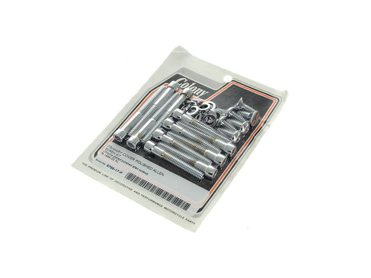 Polished Allen Head Primary Cover Bolts - Chrome. Fits Sportster 1994-2003 - Colony Machine