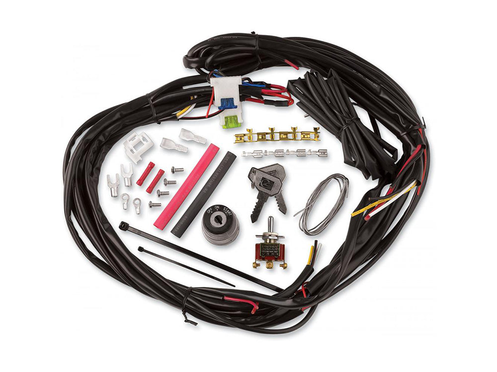 Wiring Harness. Wiring made easy for custom motorcycles - Cycle Visions