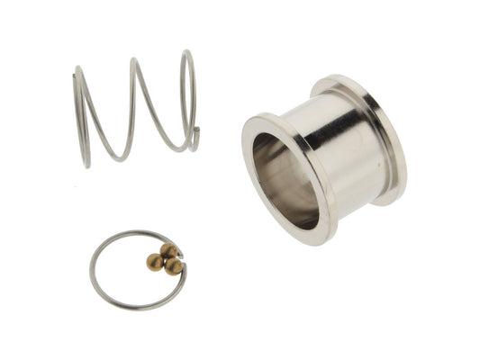 EFI Check Valve Quick Release Rebuild Kit - Fuel Tool