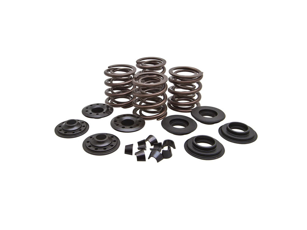 Valve Spring Kit. Fits Big Twin 1966-1977. .600in. Lift - Kibblewhite