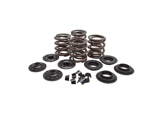 Valve Spring Kit. Fits Big Twin 1966-1977. .600in. Lift - Kibblewhite