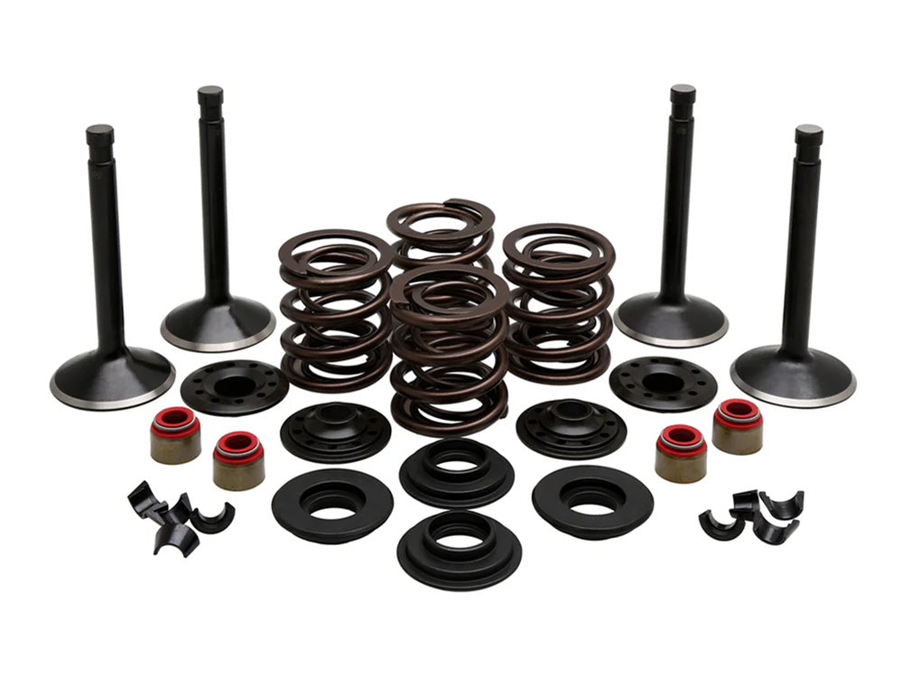 Valve & Spring Engine Kit. Fits Panhead Big Twin 1948-1965 - Kibblewhite