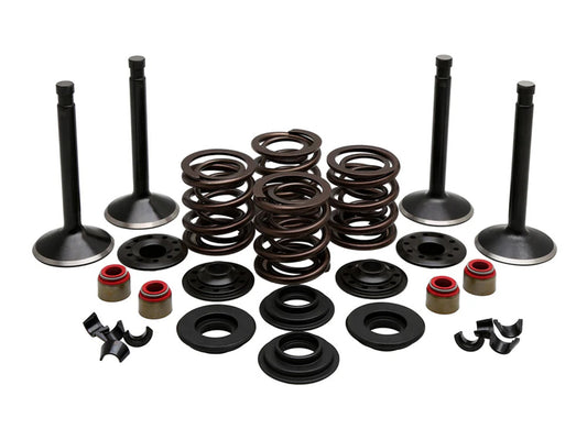 Valve & Spring Engine Kit. Fits Panhead Big Twin 1948-1965 - Kibblewhite