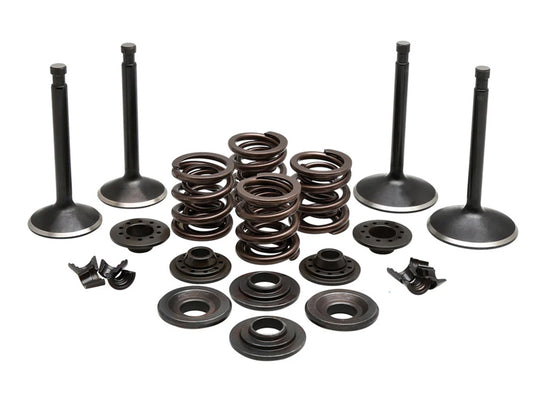 Valve & Spring Engine Kit. Fits Sportster 1970-1983 - Kibblewhite