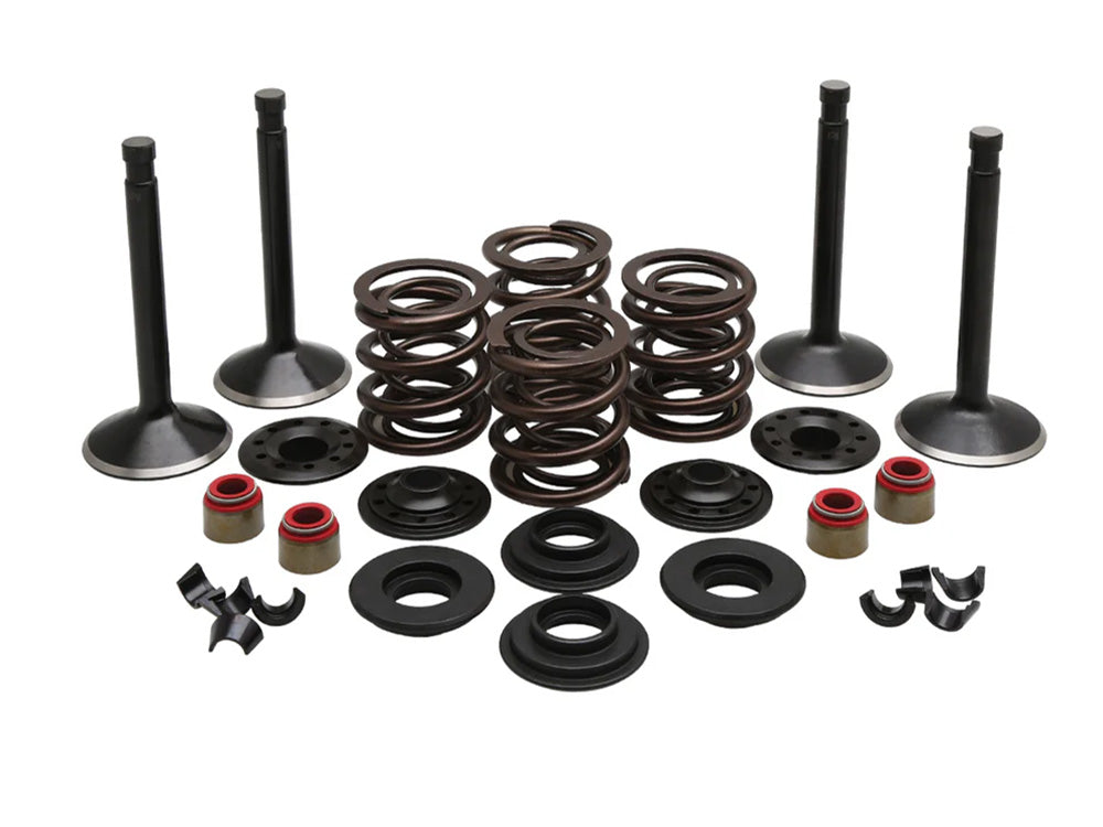 Valve & Spring Engine Kit. Fits 1200cc Big Twin 1966-1977 - Kibblewhite