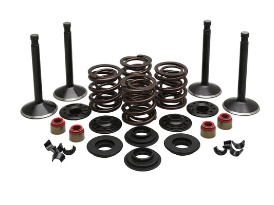 Valve & Spring Engine Kit. Fits 1200cc Big Twin 1966-1977 - Kibblewhite