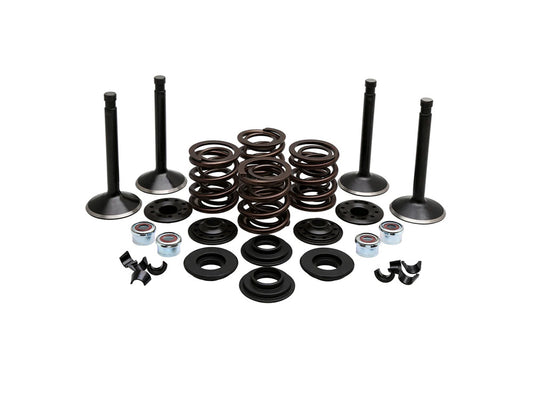 Valve & Spring Engine Kit. Fits 80ci Big Twin 1978-1984 - Kibblewhite