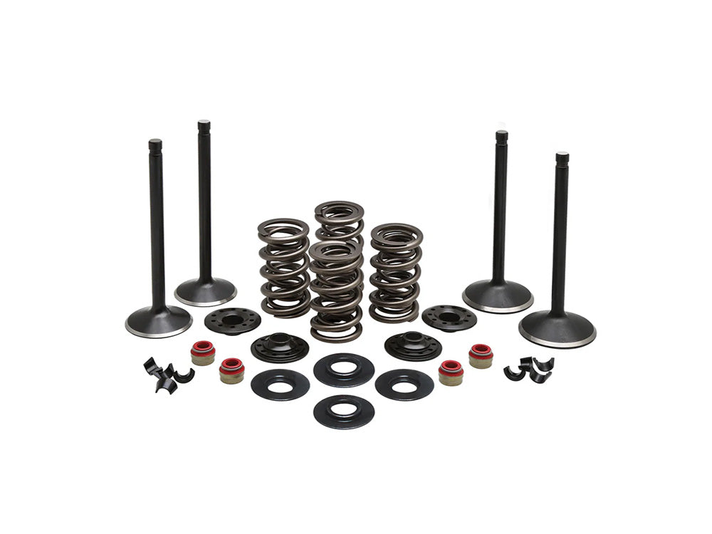 Valve & Spring Engine Kit. Fits Evolution Big Twin 1984-1999 - Kibblewhite