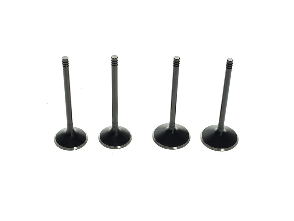 Valve Kit. Fits 1200cc Sportster 2004-2021 - Kibblewhite