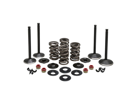 Valve & Spring Engine Kit. Fits Twin Cam 1999-2004 - Kibblewhite